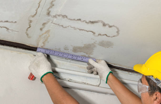 Reliable Water Damage contractor in Evans, CO by Water Damage Irwin